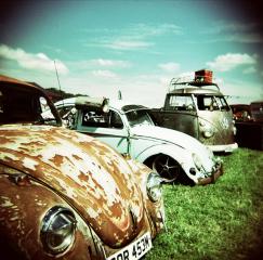 8_vw_bug.jpg