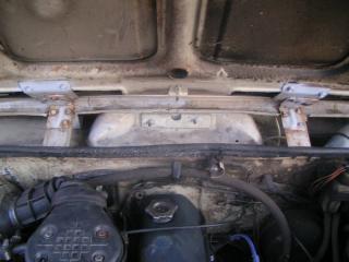 PICT0020_resize.JPG