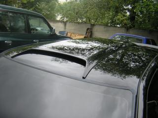1077dop.jpg