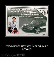 x_730c768f.jpg