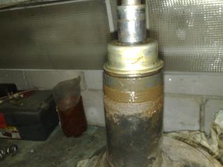 29012010351.jpg