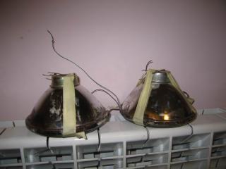 Resize_of_IMG_1355.JPG