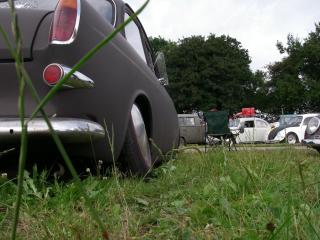 IMGP6577.jpg
