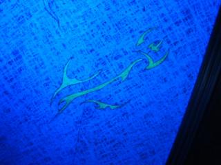 DSC02675.JPG