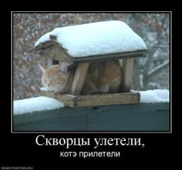 x_9531a5e9.jpg