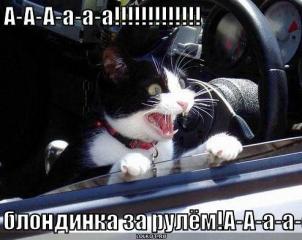 blondinka_za_rulyom_1266209888.jpg