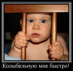 s3img_12398122_8636_0.jpg