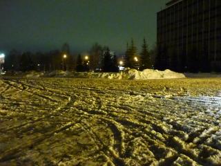 P1020401.jpg