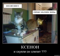 x_17408621.jpg