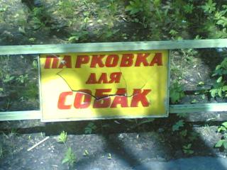 24042008_002_.jpg