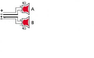 dinamic46_2.jpg