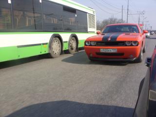 SDC10728.JPG