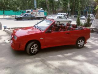 SP_A0288.jpg