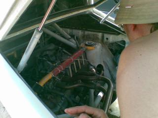 18052008_003_.jpg