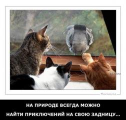 img_4987759_1052_17.jpg