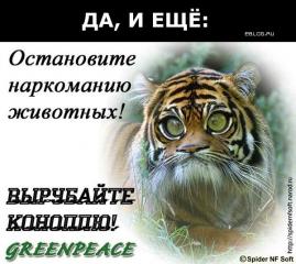 img_4987759_1052_24.jpg