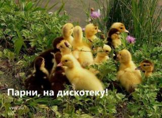 109595_109239.jpg