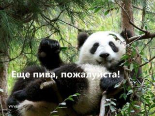 109595_109240.jpg