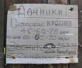 prikol37.jpg