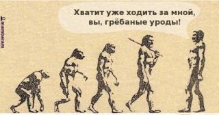 evolution.jpg