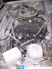 100_6064.jpg