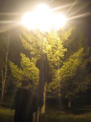 IMG_2399_resize.JPG