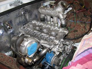 IMG_7089________________.jpg
