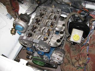 IMG_7283________________.jpg