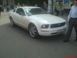 мустанг2.JPG