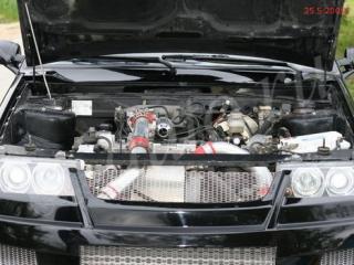 254b557a.jpg