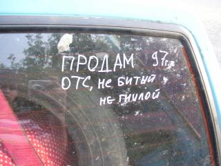 dsg_133.jpg