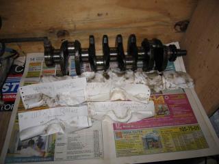 Resize_of_IMG_1878.JPG