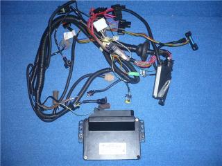 c845c71a12db.jpg