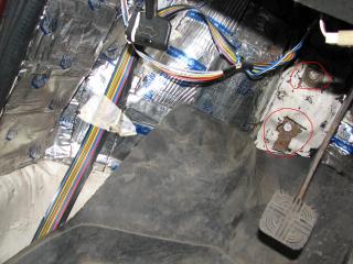 IMG_0902.JPG