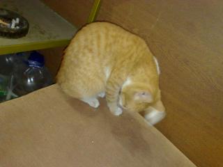 25082009022.jpg