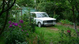 P1050069________________.JPG