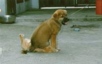 1188600575_7_unknown.jpg
