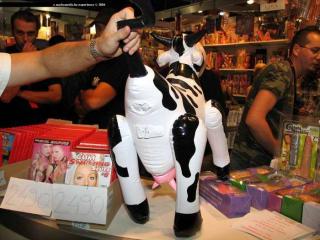 sextoyz13.jpg