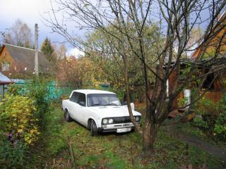 Resize_of_IMG_0446.JPG