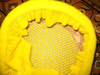 IMG_3354__50__.jpg