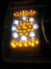 IMG_1004.jpg