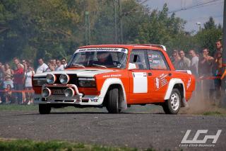 vik_386gardony.jpg