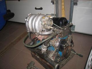 Resize_of_IMG_0448.JPG