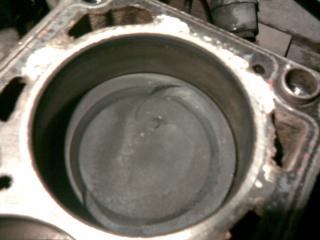 07112007_013_.jpg