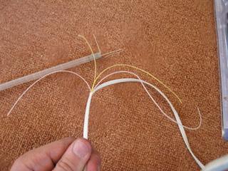 9_IMG_0289.jpg
