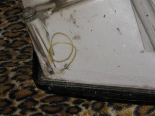 13_IMG_0299.jpg