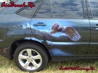 resize_autoexzotika05_2__airbrush_44.jpg