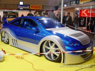 Tigra__1_.jpg