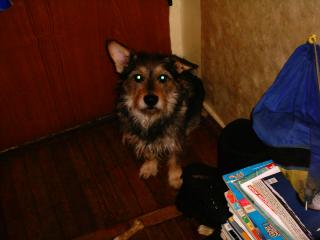 IMAG0128.JPG