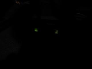 Resize_of_IMG_0968.JPG